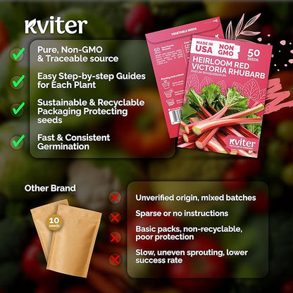 KVITER 50 Red Victoria Rhubarb Seeds for Planting (Rheum Rhabarbarum) – Organic & Heirloom Seeds, Perennial Vegetable Seeds – Perfect for Rhubarb Jam & Pies, Grow in Beds & Outdoor Garden