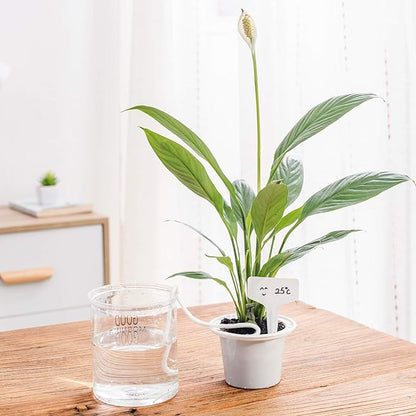 ORIMERC 100 Pcs 6 x 10cm Plant Labels with 30 Feet Self Watering Wick Cord for Vacation Self-Watering Planter Pot DIY Automatic Watering Device Potted Plant Sitter Auto Drip Waterer Garden Tag Marker