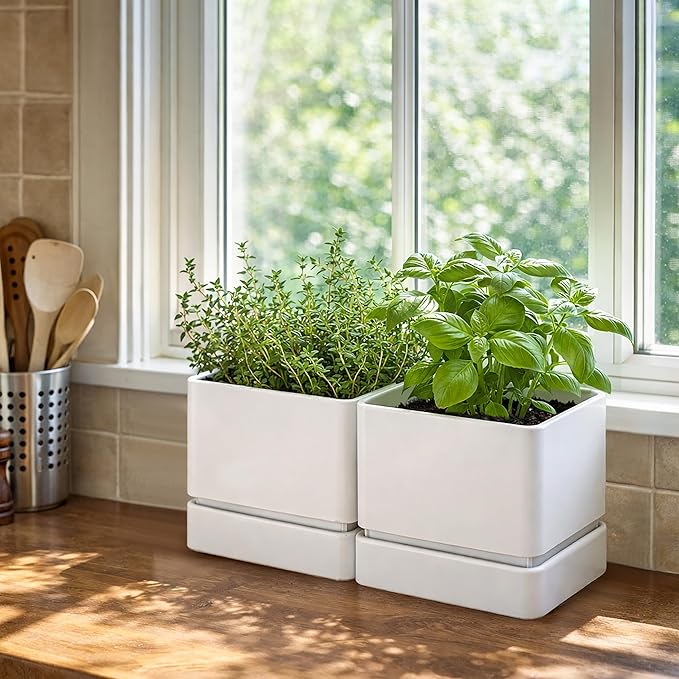 D'vine Dev 6 Inch Herb Planter Pot, Plastic Planter with Drainage Holes and Saucer, Modern Decorative Gardening Pot for Indoor Plants, Flowers, Herbs, Succulents, White, Set of 2, 76-Y-A2-2