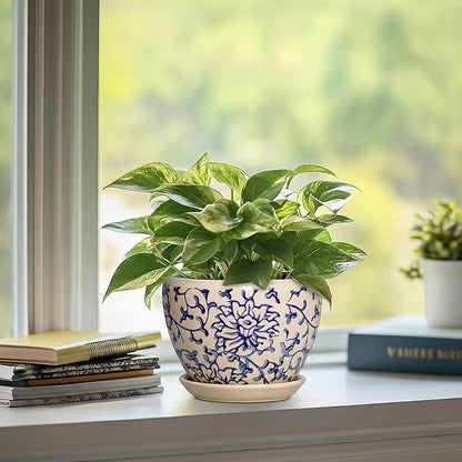 6 Inch Plant Pot - Ceramic Planters for Succulent Snake Plants, Round Pots for Plants with Drainage Hole and Saucer, Indoor Flower Pots, Living Room Decor, Gardening Gifts, Retro Blue