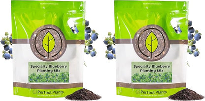 Specialty Blueberry Potting Mix by Perfect Plants | Organic Premium Mix | Use with Blueberry's, Raspberry, or Other Fruit Shrubs (8qt) (Pack of 2)