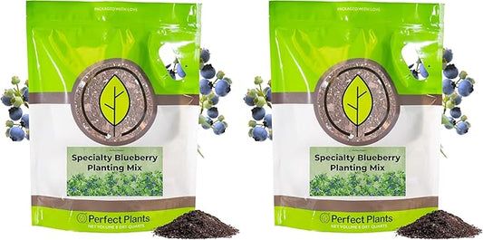 Specialty Blueberry Potting Mix by Perfect Plants | Organic Premium Mix | Use with Blueberry's, Raspberry, or Other Fruit Shrubs (8qt) (Pack of 2)