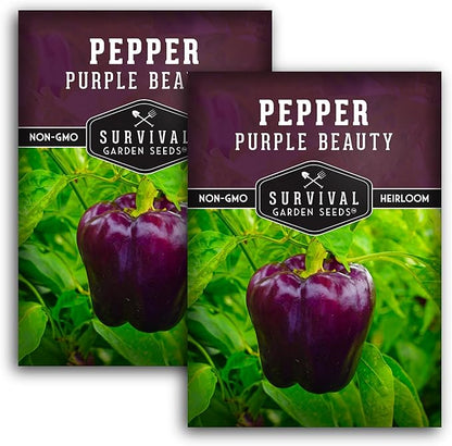 Purple Beauty Bell Pepper Seeds for Planting | Heirloom Sweet Purple Bell Peppers for Home Gardens – Non-GMO Open-Pollinated – Survival Garden Seeds (2 Packs)