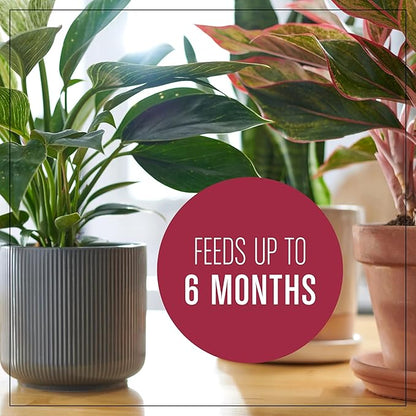 Miracle-Gro Houseplant Potting Mix: Fertilized, Perlite Soil for Indoor Gardening, Designed to Be Less Prone to Gnats, 4 qt.