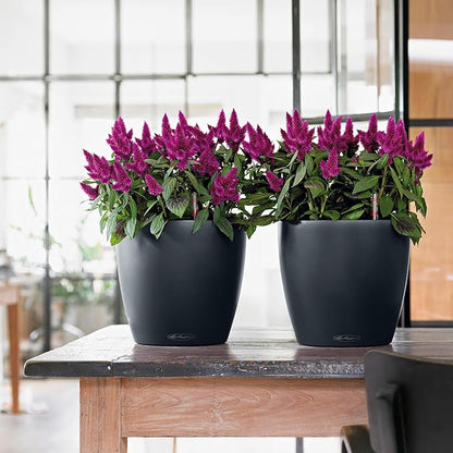 Lechuza Classico Color 21 Slate, Self-Watering Small Round Planter, D8.3 H7.9 in