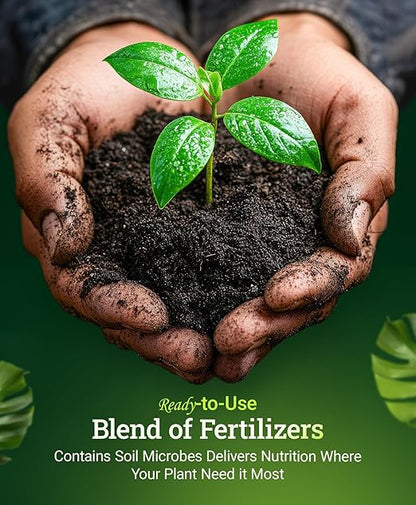 FoxFarm Happy Frog All Purpose Fertilizer - Organic Slow Release Fertilizer for Flowers, Vegetables & Ornamental Plants - Contains Soil Microbes & Mycorrhizal Fungi - OMRI Listed, 4 lb, Pack of 2