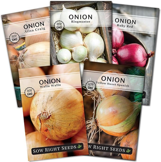 Sow Right Seeds - Long Day Onion Seed Collection for Planting - Yellow Sweet Spanish, Ringmaster, Ruby Red, Ailsa Craig, Walla Walla - Non-GMO Heirloom Varieties to Plant a Home Vegetable Garden