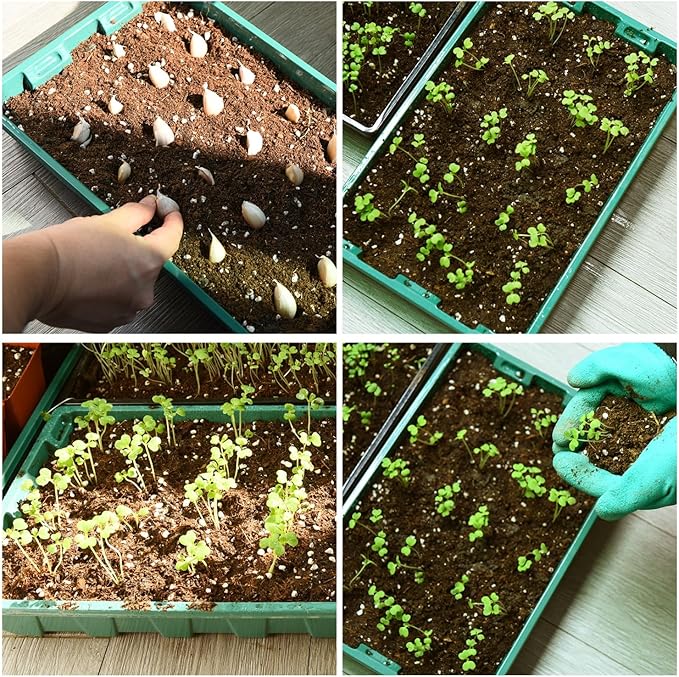 YoleShy 10 Pack Seed Starter Tray Reusable Plastic Plant Seedling Starter Trays Thickened Sturdy Durable for Germination Growing Microgreens Planting Propagation, Without Drain Holes, 14.5"x9", Green