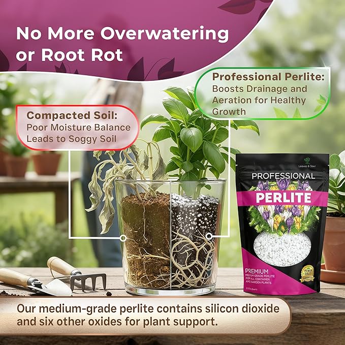 Professional Perlite | Large 2.2 Quarts | Medium Grade for Container and Garden Plants | pH Neutral Lightweight Soil Additive | Made in USA