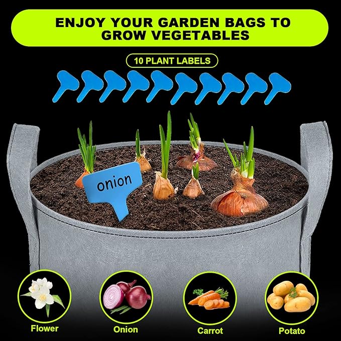 BigKing Seed Organizer Storage Box, 80 Slots Plastic Container With Label Stickers and Useful Accessories for Flower and Vegetable Seeds (3 Sizes)