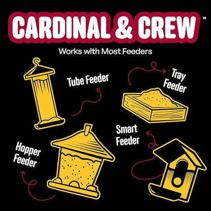 Cardinal & Crew Wild Bird Seed – 10 lb. Black Oil Sunflower, Sunflower Hearts & Safflower Blend for Cardinals, Grosbeaks & Chickadees – Bird Food for Outside Feeders