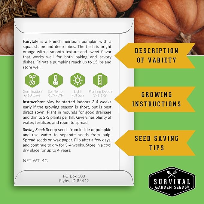 Fairytale Pumpkin Seeds for Planting | Musquée de Provence Heirloom Cucurbita Moschata - Sweet Flavor Pumpkins for Storage, Pies, Soups, Fall Décor - Survival Garden Seeds (1 Pack)