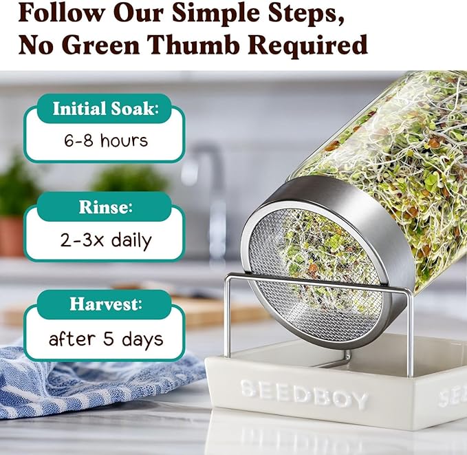 Seedboy Organic Non-GMO Sprouting Seeds, Superfood Blend - USA Grown Microgreens Mix with Broccoli, Radish, Pak Choi, Clover, Red Kale - 8 oz Makes 8 Quarts / 24 Servings (Superfood Blend)