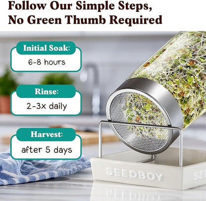 Seedboy Organic Non-GMO Sprouting Seeds, Superfood Blend - USA Grown Microgreens Mix with Broccoli, Radish, Pak Choi, Clover, Red Kale - 8 oz Makes 8 Quarts / 24 Servings (Superfood Blend)