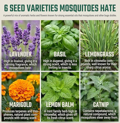 Tactiko Garden Aromatic Herb Seed Kit for Mosquito Season – 6 Individual Seed Packets for Patio & Deck - Lavender, Lemongrass, Marigold, Catnip, Lemon Balm. Basil – Starter Kit with 6 Coir Soil Discs