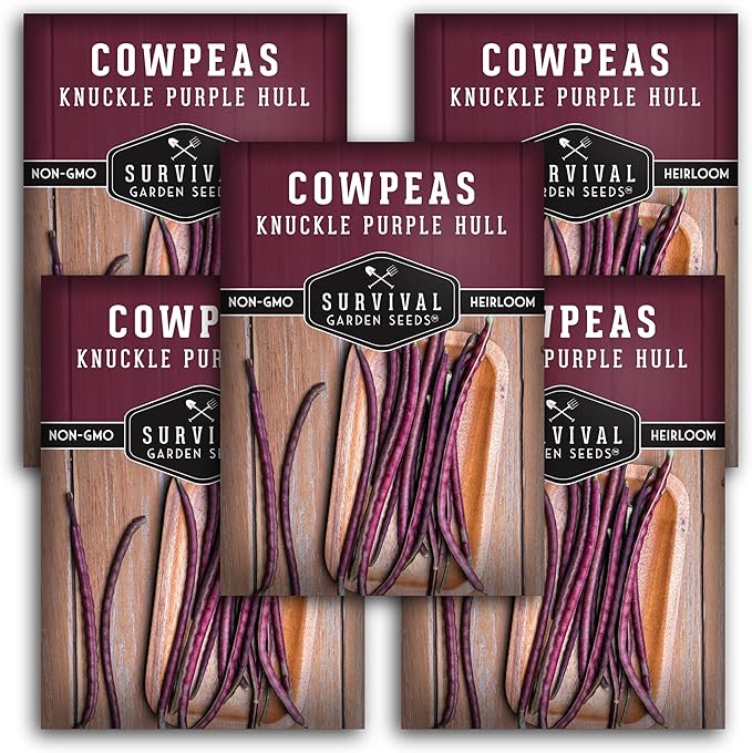 Knuckle Purple Hull Pea Seeds for Planting – Heirloom Southern Field Peas – Drought-Tolerant, High-Yield Crowder-Type Cowpea for Home Gardens – Survival Garden Seeds (5 Pack)
