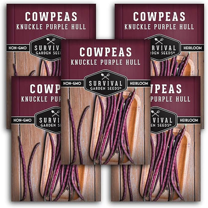 Knuckle Purple Hull Pea Seeds for Planting – Heirloom Southern Field Peas – Drought-Tolerant, High-Yield Crowder-Type Cowpea for Home Gardens – Survival Garden Seeds (5 Pack)