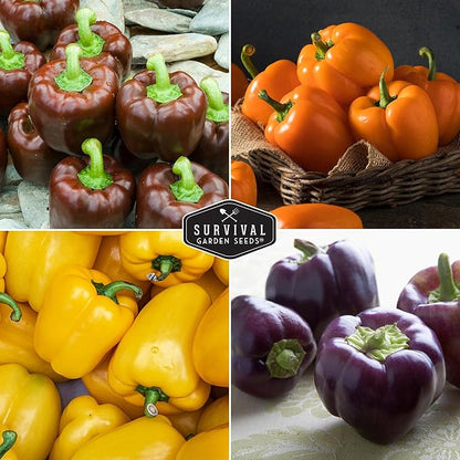 Bell Peppers Seed Collection – 5-Pack | Yellow, Orange, California Wonder, Purple Beauty & Sweet Chocolate Pepper Seed for Planting – Heirloom, Non‑GMO | Survival Garden Seeds