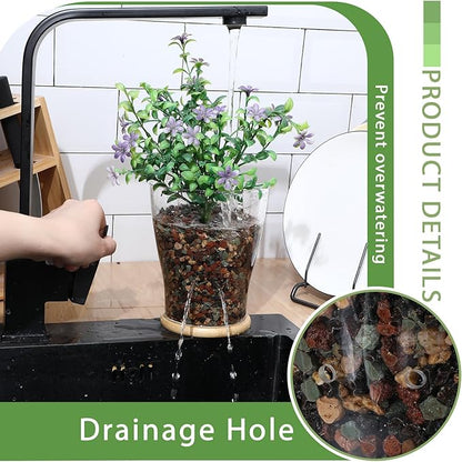 Baderke Glass Orchid Pots with Holes and Bamboo Tray Glass Pot Water Level Control Semi Hydroponic Transparent Root Transparent Indoor Orchid Planter for Home Indoor Outdoor Plant Lovers (5.12 Inch)