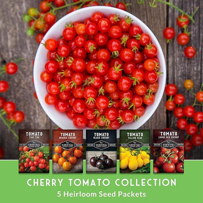 Cherry Tomato Seeds for Planting – 5 Variety Pack with Tiny Tim, Black Cherry, Yellow Pear, Large Red & Orange | Heirloom Non-GMO Patio & Container Tomatoes – Survival Garden Seeds