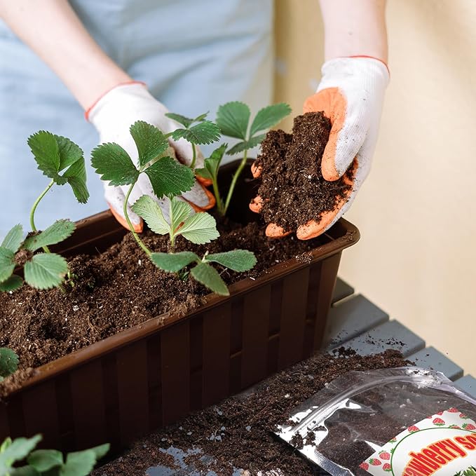 Organic Strawberry Soil Mix 10qt, Indoor Plants Potting Mix for All Potted Strawberry, Grow Healthy houseplants Indoors