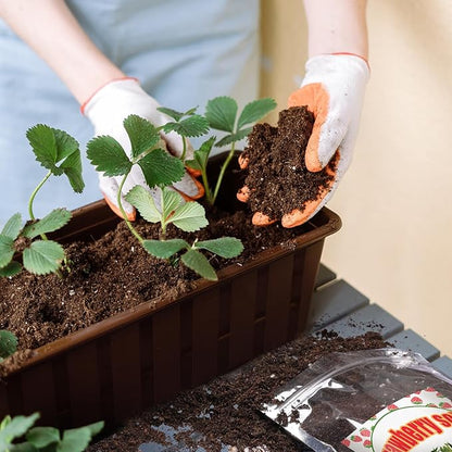 Organic Strawberry Soil Mix 10qt, Indoor Plants Potting Mix for All Potted Strawberry, Grow Healthy houseplants Indoors
