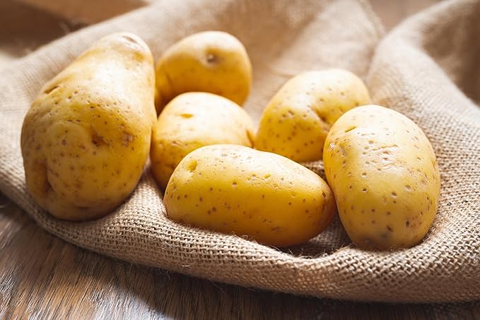 German Butterball Seed Potatoes for Planting | Yellow Skin, Deep Yellow Flesh | Heirloom Potato Variety | Rich Flavor & High Yield | Non-GMO, Untreated (10 Pounds)