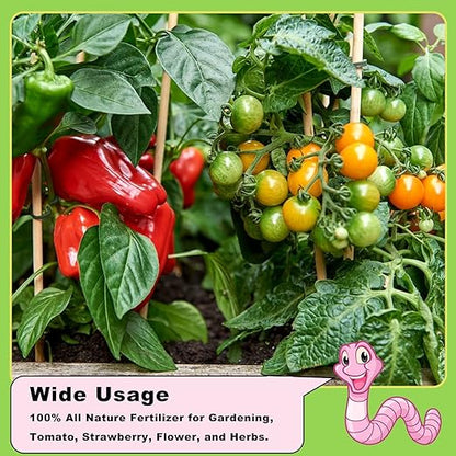 Worm Castings Organic Fertilizer 11 LBS by Doter, All Nature Fertilizer for Gardening, Tomato, Strawberry, Flower, and Herbs