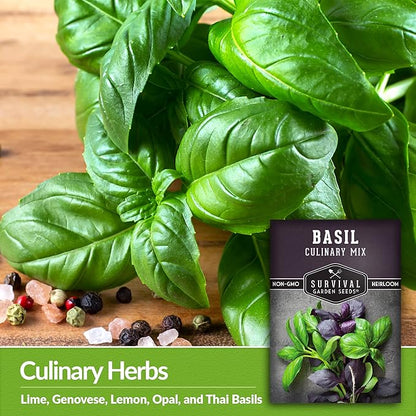 Basil Seeds Mix for Planting - Culinary Genovese Italian, Lemon, Lime, Opal & Thai Basil Seed Blend - Heirloom Non-GMO Kitchen Garden Herbs - Survival Garden Seeds (5 Packs)