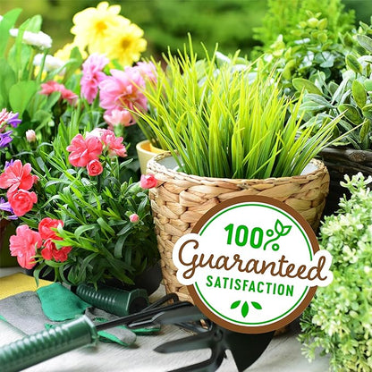 Back to The Roots 100% Organic Vermiculite | Made in The USA | Premium Nutrition for Indoor and Outdoor Plants