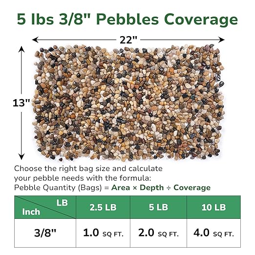 GreatBuddy 5-lb Pebbles for Indoor Plants, 3/8" Pea Gravel for Vases, Small Rocks for Succulents, Fish Tanks, Aquariums, Terrarium, Drainage Pebbles for Potted Plants, River Rocks for Landscaping