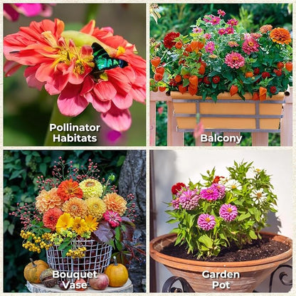 16000+ Zinnia Flower Seeds for 2026-7+ Color Mix, High Germination Rate, Perfect for Gardens, Mix Zinnia Wildflower Seeds, Mixed Colors and Large Blooms, Easy to Grow, Large 4 Ounce Packet