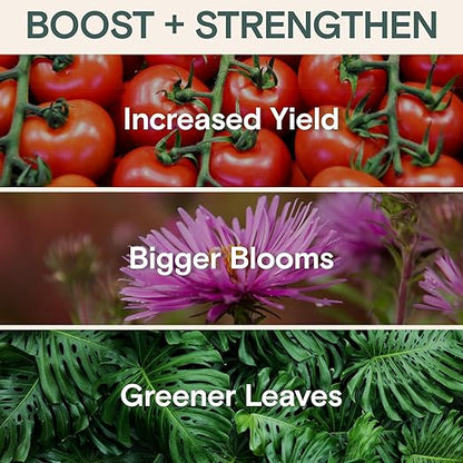 Arber Bio Protectant | Organic Outdoor Plant Fungicide and Root Stimulate Liquid Concentrate | Natural Bloom Boosting Growth Gardening Solution | Control Mildew, Mold, Spots | Make Over 16 Gallons