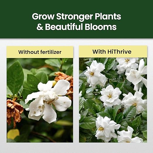 32oz Gardenia Fertilizer - Makes 192 Gallons of Indoor Plant Food for Gardenia Plants Live, Nutrient-Rich Outdoor & Indoor Plant Fertilizer, Flower Food for Vibrant Growth and Beautiful Blooms