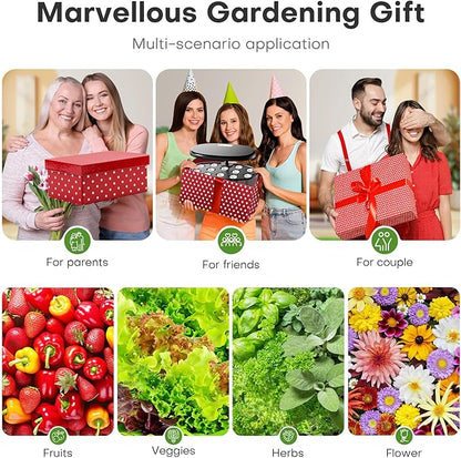 Ahopegarden Indoor Garden Hydroponics Growing System: 12 Pods Plant Germination Kit Garden Kit Growth Lamp Countertop with LED Grow Light Hydrophonic Planter Grower Harvest Vegetable Lettuce
