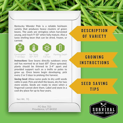 Survival Garden Seeds - Kentucky Wonder Pole Bean Seed for Planting - 2 Packets with Instructions to Plant and Grow Green Snap Beans in Your Home Vegetable Garden - Non-GMO Heirloom Variety