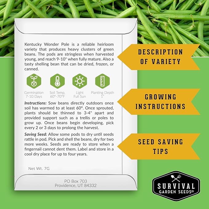 Kentucky Wonder Pole Bean Seed for Planting - 1 Packet with Instructions to Plant and Grow Green Snap Beans in Your Home Vegetable Garden - Non-GMO Heirloom Variety - Survival Garden Seeds