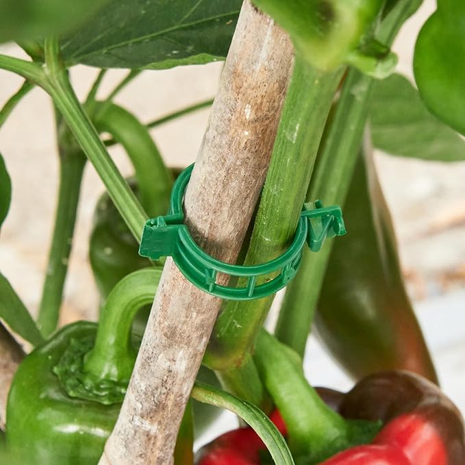 200 Pcs Plant Support Clips,Plastic Clips for Securing Plants,Tomato Vine Clips,Plant Fixing Clips,Garden Clips for Climbing Plants,Grape and Vine Vegetables (200, Green)
