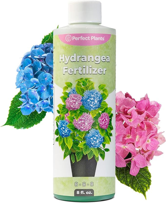 Premium Liquid Hydrangea Fertilizer by Perfect Plants | Bloom Booster | Fertilizer for Hydrangeas and Other Flowering Plants (8 fl oz)