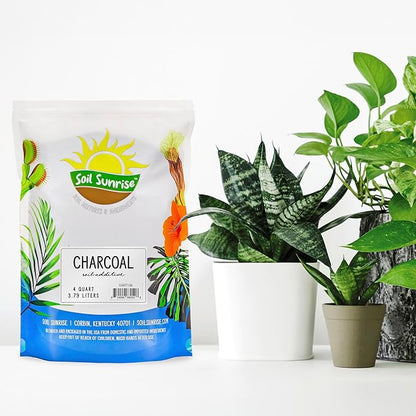 Soil Sunrise Horticultural Charcoal for Indoor Plants (4 Quarts) Hardwood Soil Additive for Orchids, Terrariums, and Gardening