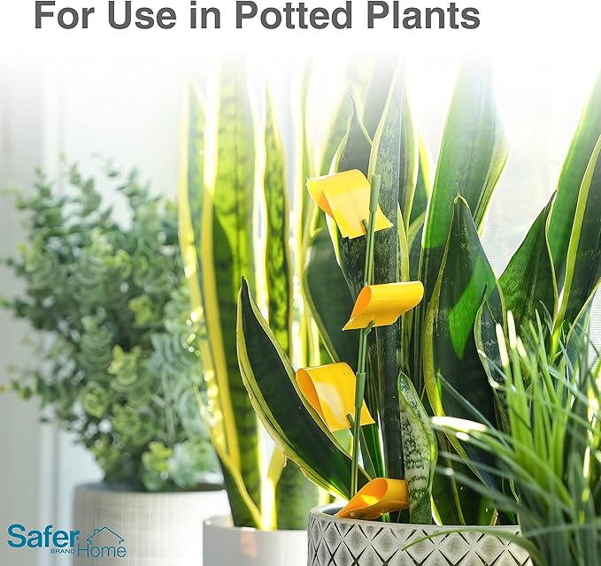 Safer Brand Home SH5026 Houseplant Sticky Stake Insect Traps for Indoor Plants - 16 Traps Included - Controls Aphids, Whiteflies, Fruit Flies, Fungus Gnats, and Other Insects