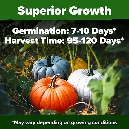 HOME GROWN Pumpkin Seeds for Planting - 5 Variety Mix - 40 Seeds - Heirloom Non GMO USA - Vegetable Garden - Edible & Jack O Lanterns - Connecticut Field Blue White Mini - Autumn Harvest