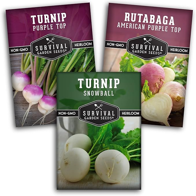 Turnip & Rutabaga Seeds Collection – 3 Varieties for Fall & Spring Planting | Purple Top Turnip, Snowball White Turnip, American Purple Top Rutabaga | Survival Garden Seeds