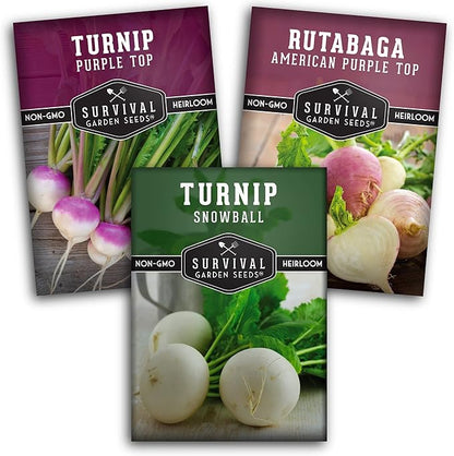 Turnip & Rutabaga Seeds Collection – 3 Varieties for Fall & Spring Planting | Purple Top Turnip, Snowball White Turnip, American Purple Top Rutabaga | Survival Garden Seeds