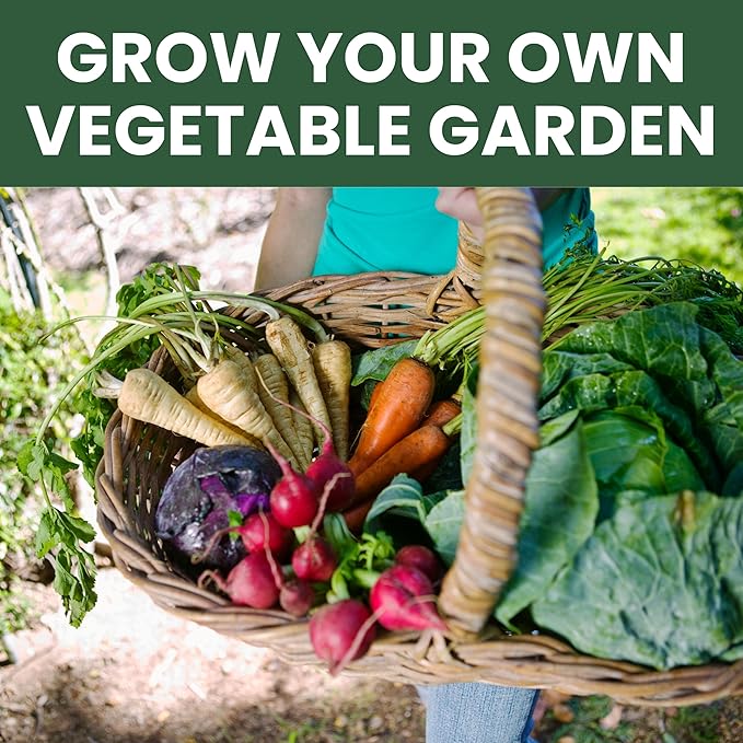 Fall & Winter Seed Variety Pack | 30 Invidiual Packs | 2026 Season | Non-GMO | Beets, Arugula, Carrots, Lettuce & More! | for Planting Indoor & Outdoor | by Family Sown