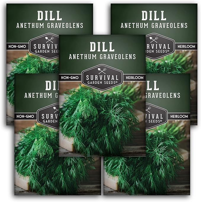Dill Seeds for Planting – Bouquet Dill Seed to Plant for Pickling & Fresh Cooking, High Germination Non-GMO Heirloom Herb for Outdoor Growing – Survival Garden Seeds (5 Packs)