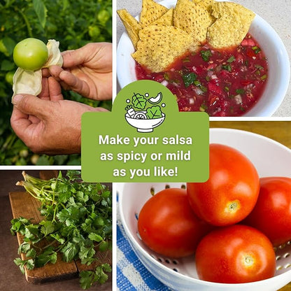 Sow Right Seeds - Salsa Seed Collection for Planting - Jalapeno, Cilantro, Roma Tomato, Tomatillo, and Red Onion - Non-GMO Heirloom Seeds with Instructions to Plant Your Own Home Vegetable Garden