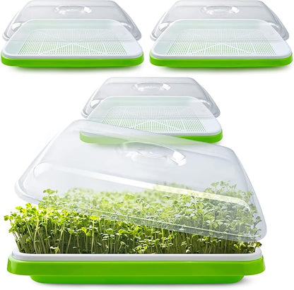 Seed Sprouter Tray with Drain Holes,Seed Germination Tray Kit BPA Free Nursery Tray,Soil-Free Big Capacity Healthy Wheatgrass Grower Sprouting Container (3 Pack with lid-Green)