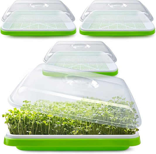 Seed Sprouter Tray with Drain Holes,Seed Germination Tray Kit BPA Free Nursery Tray,Soil-Free Big Capacity Healthy Wheatgrass Grower Sprouting Container (3 Pack with lid-Green)