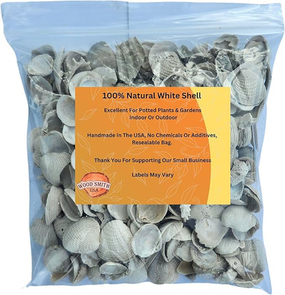 Versatile Shells for Outdoor Landscaping - Ideal Decorative Rocks for Plants Indoor & Outdoor, White Shell, Landscaping Stones. 2 Quart